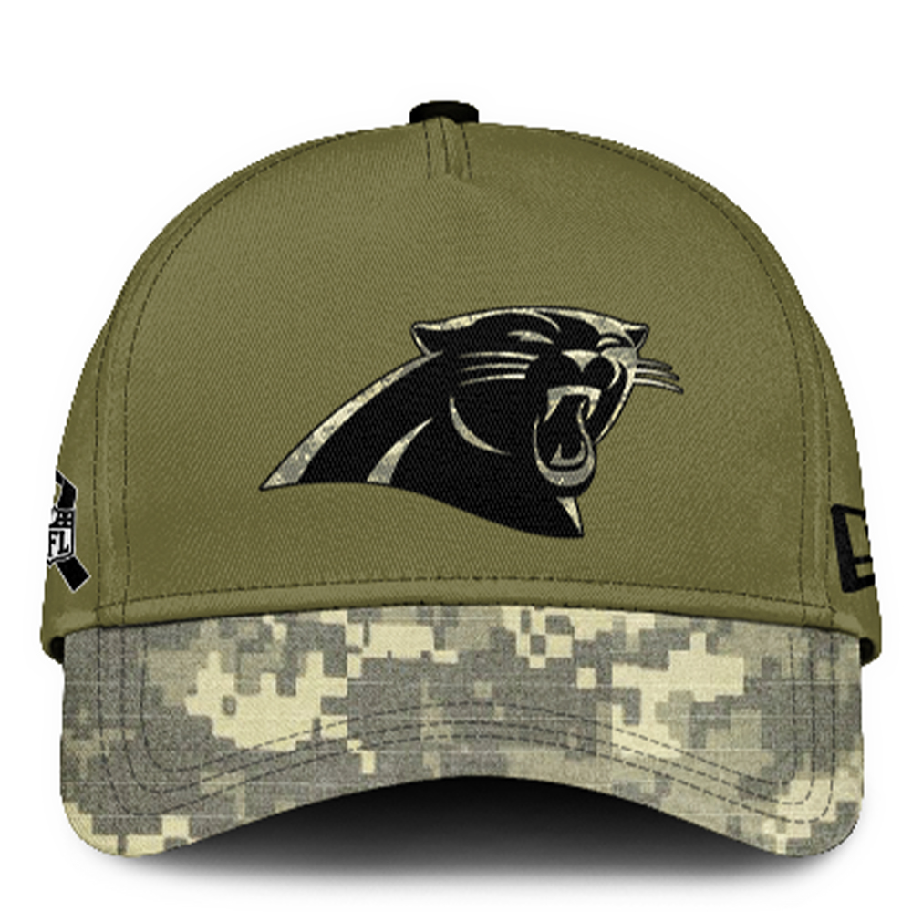 Carolina Panthers Veterans Day Hoodie - Famjoys Carolina Panthers Veterans Day Hoodie - Famjoys
