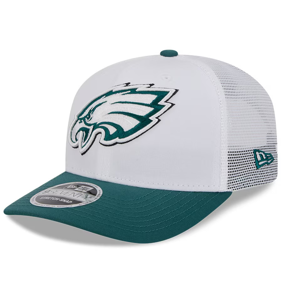 philadelphia eagles Training Camp Hoodie - Famjoys philadelphia eagles Training Camp Hoodie - Famjoys
