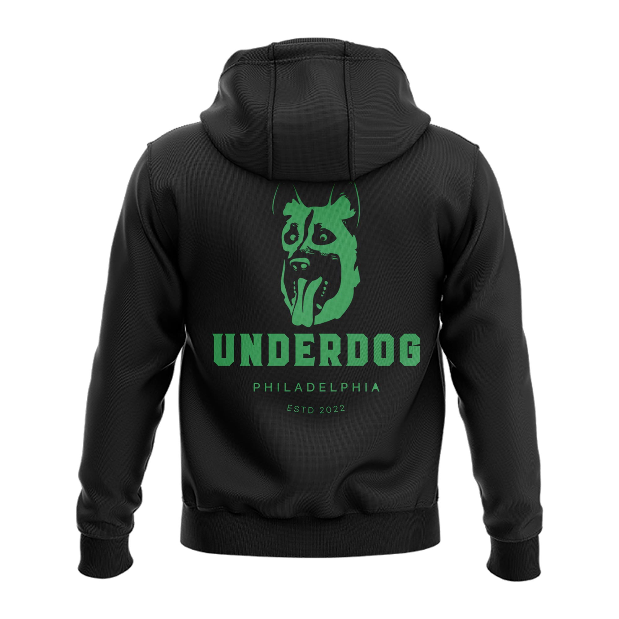 Philadelphia Eagles Underdog Hoodie - Famjoys Philadelphia Eagles Underdog Hoodie - Famjoys