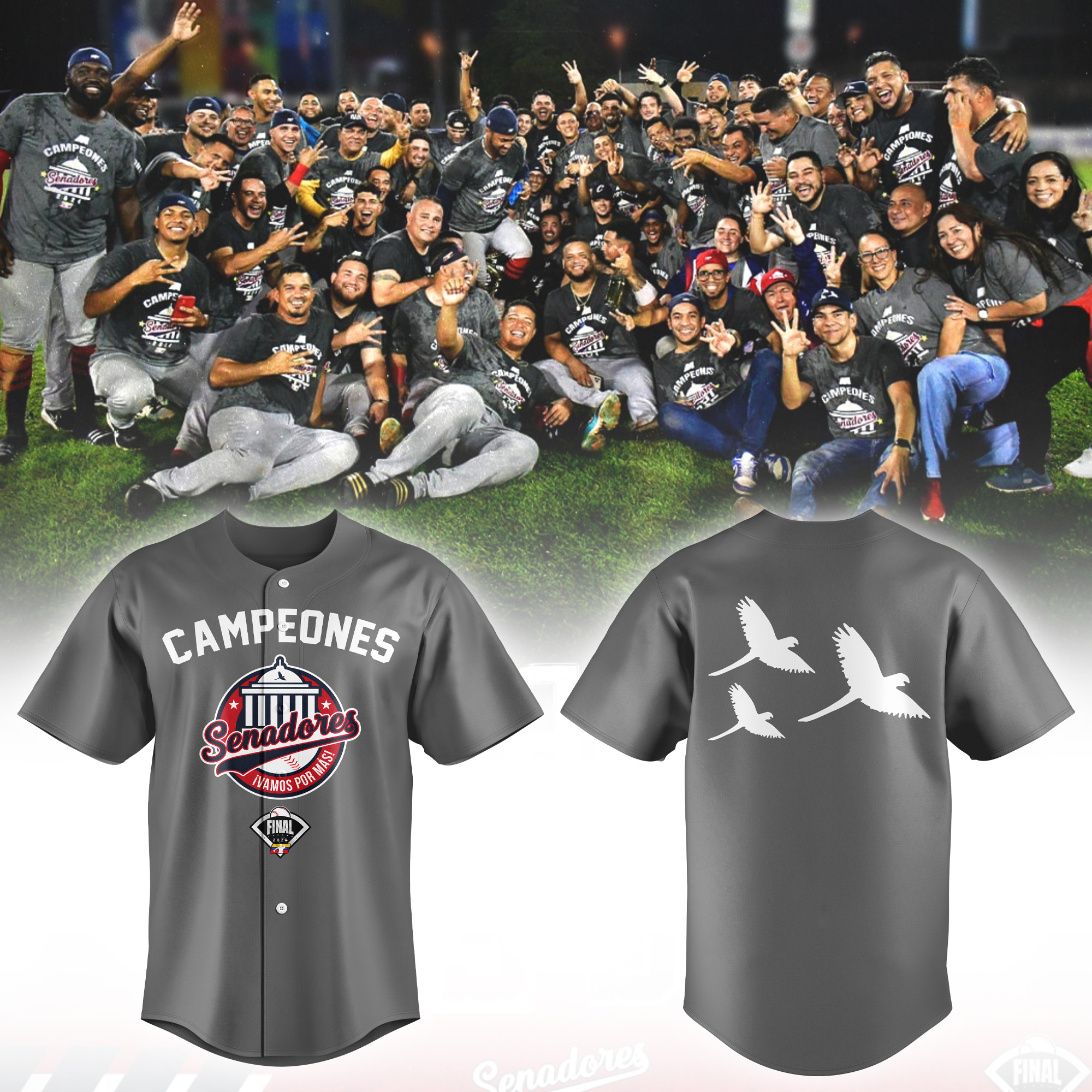 Senadores De Caracas Campeones T-shirt – V2 - Famjoys Senadores De Caracas Campeones T-shirt – V2 - Famjoys