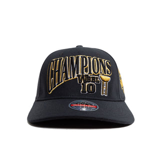 WBBL10 Champions Snapback Cap - Famjoys WBBL10 Champions Snapback Cap - Famjoys