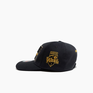 WBBL10 Champions Snapback Cap - Famjoys WBBL10 Champions Snapback Cap - Famjoys